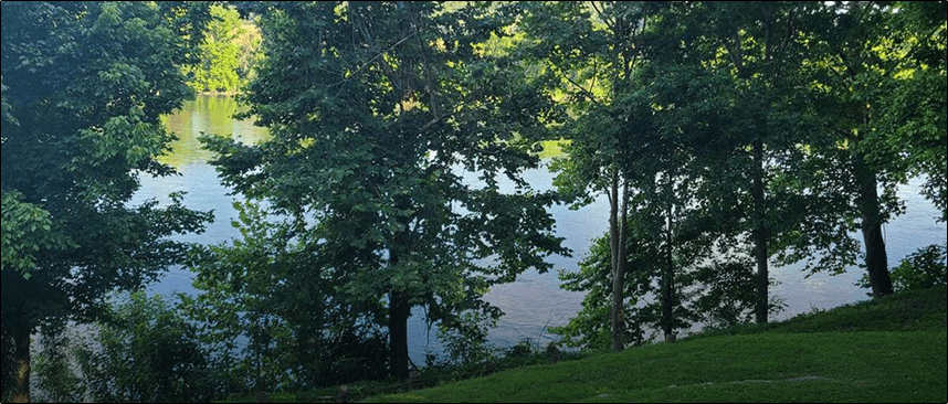 Video testimonial from Mark & Jennifer T.